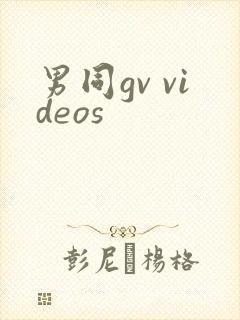 男同gv videos