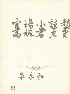 官场小说赵心媚高婉君免费阅读封面