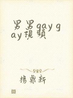 男男gay gay视频