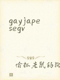 gayjapesegv