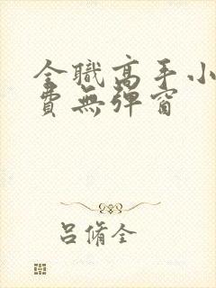 全职高手小说免费无弹窗