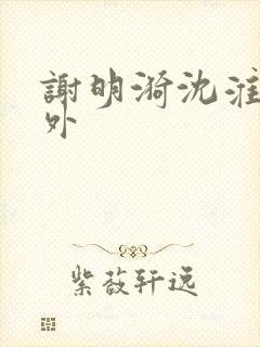 谢明漪沈淮舟番外