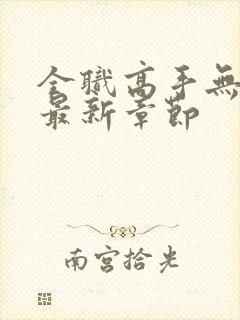 全职高手无弹窗最新章节