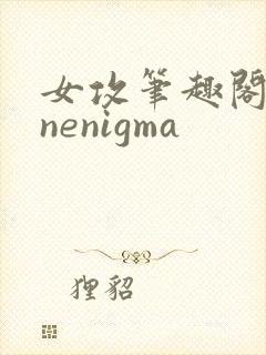 女攻笔趣阁1/nenigma封面