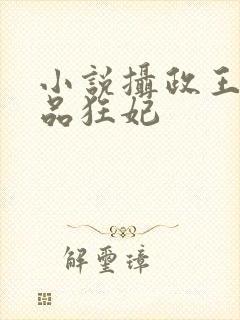 小说摄政王的医品狂妃