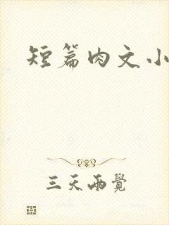 短篇肉文小说封面