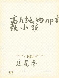 高h纯肉np调教小说