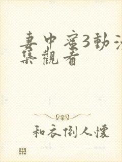 妻中蜜3动漫全集观看