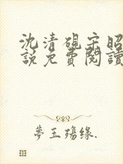 沈清砚宋昭汐小说免费阅读最新章节