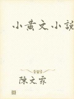 小黄文小说