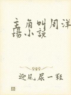 主角叫周洋的官场小说