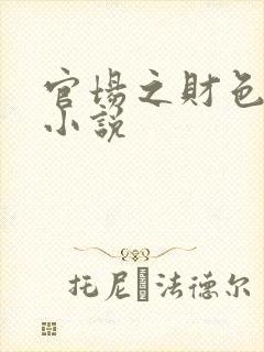 官场之财色诱人小说