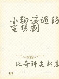 小鞠演过的所有电视剧