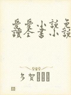 爱爱小说免费阅读全书小说乡村封面