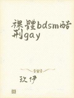 裸体bdsm酷刑gay