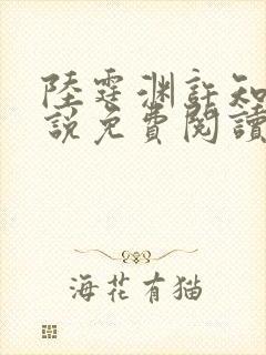 陆霆渊许知夏小说免费阅读最新章节