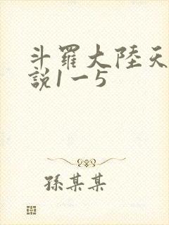 斗罗大陆天狂传说1一5
