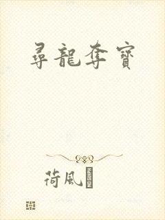 寻龙夺宝封面