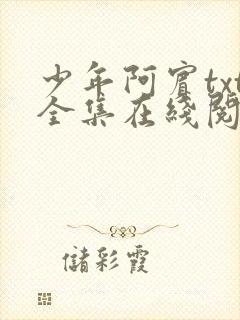 少年阿宾txt全集在线阅读