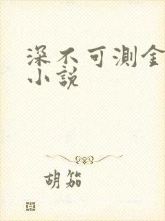 深不可测金银花小说封面