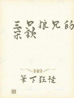 三只狼兄的宠妻宋钦封面