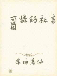 可怜的社畜东度日