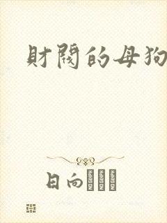 财阀的母狗们封面