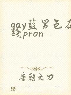 gay蓝男色在线pron