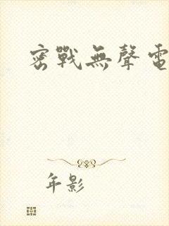 密战无声电视剧