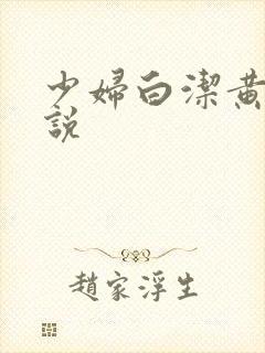 少妇白洁黄色小说