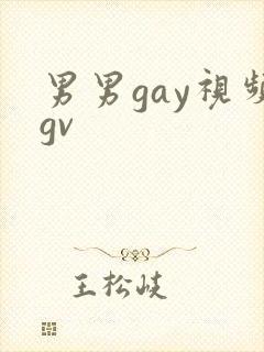 男男gay视频gv