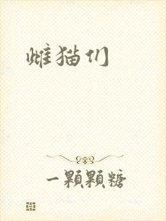 雌猫们