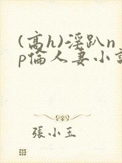 (高h)淫趴np伦人妻小说封面