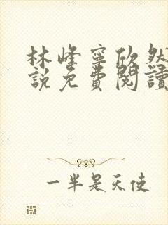 林峰宁欣然的小说免费阅读正版