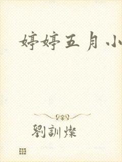 婷婷五月小说封面