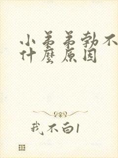 小弟弟勃不起是什么原因