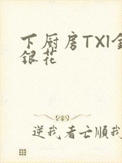 下厨房TXl金银花