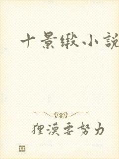 十景缎小说