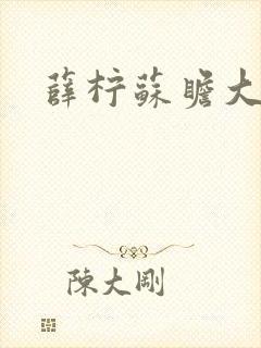 薛柠苏瞻大结局封面