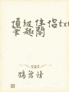 顶级伴侣txt笔趣阁