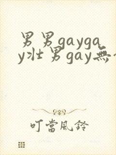男男gaygay壮男gay无套