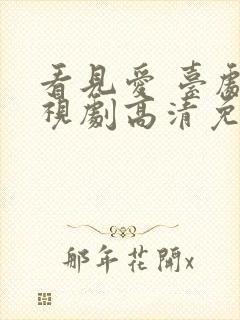 看见爱 台剧电视剧高清免费观看封面