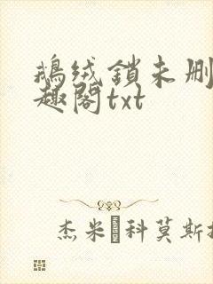 鹅绒锁未删除笔趣阁txt