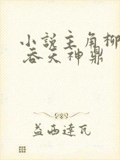 小说主角柳无邪 吞天神鼎