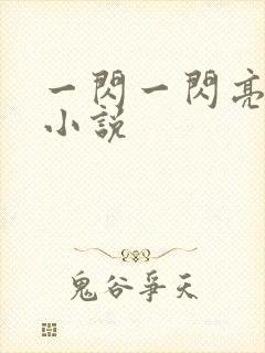 一闪一闪亮星星小说