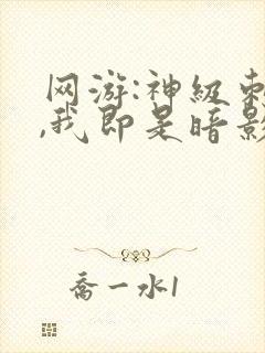 网游:神级刺客,我即是暗影漫画