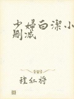 少妇白洁小说无删减