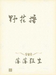 野花撸封面