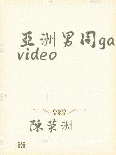 亚洲男同gayvideo