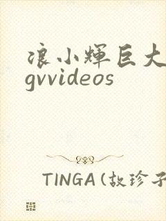 浪小辉巨大粗爽gvvideos
